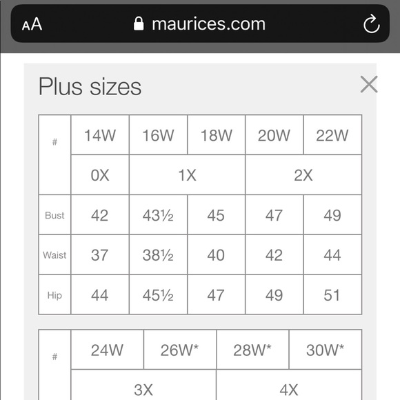 NWOT Maurices Sheer Blouse - Picture 6 of 6